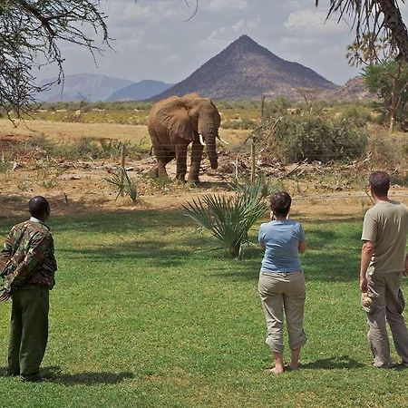 แอชนิล ซัมบูรู แคมป์ Hotel Samburu ภายนอก รูปภาพ