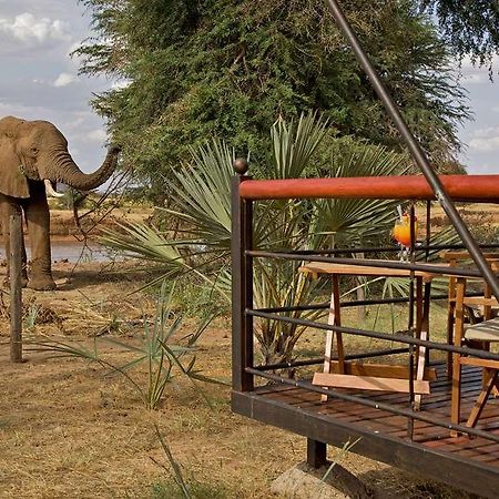 แอชนิล ซัมบูรู แคมป์ Hotel Samburu ภายนอก รูปภาพ