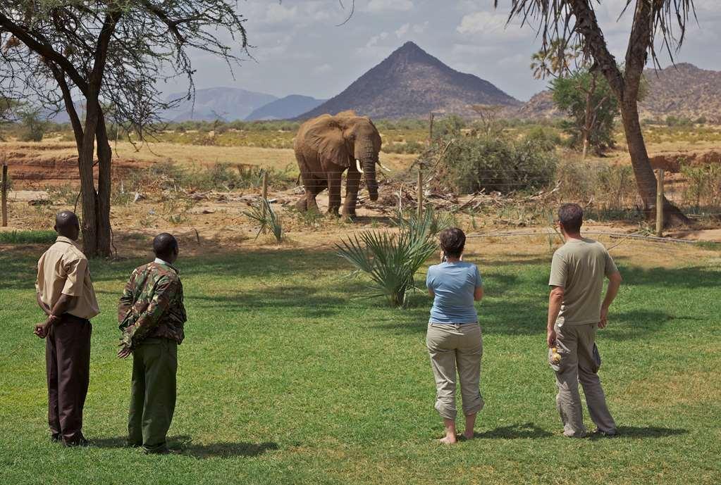 แอชนิล ซัมบูรู แคมป์ Hotel Samburu ภายนอก รูปภาพ