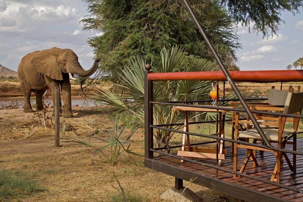 แอชนิล ซัมบูรู แคมป์ Hotel Samburu ภายนอก รูปภาพ