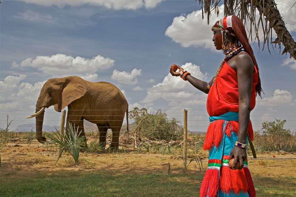 แอชนิล ซัมบูรู แคมป์ Hotel Samburu สิ่งอำนวยความสะดวก รูปภาพ