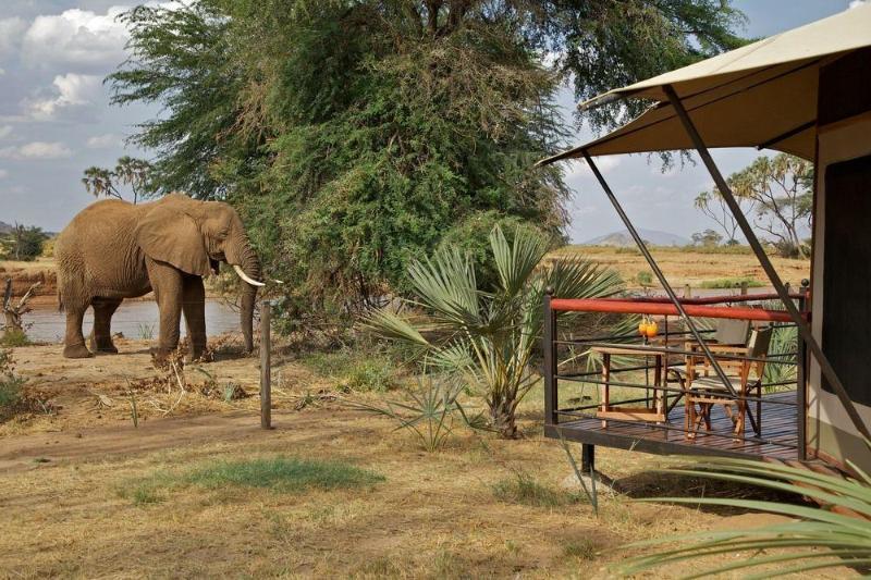 แอชนิล ซัมบูรู แคมป์ Hotel Samburu ภายนอก รูปภาพ