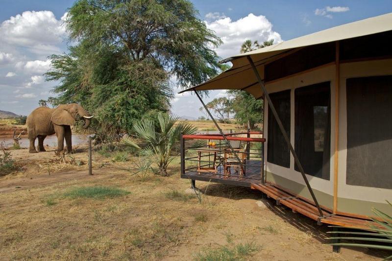 แอชนิล ซัมบูรู แคมป์ Hotel Samburu ภายนอก รูปภาพ