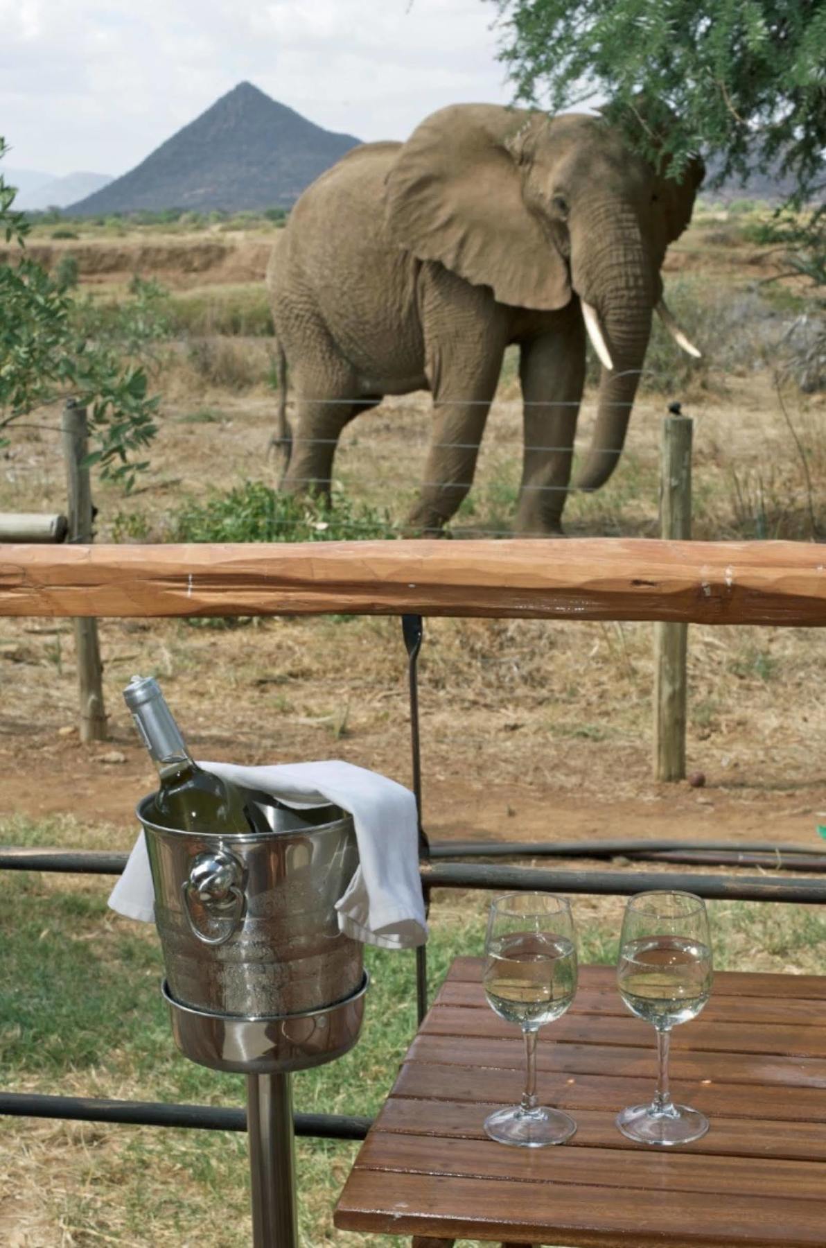 แอชนิล ซัมบูรู แคมป์ Hotel Samburu ภายนอก รูปภาพ