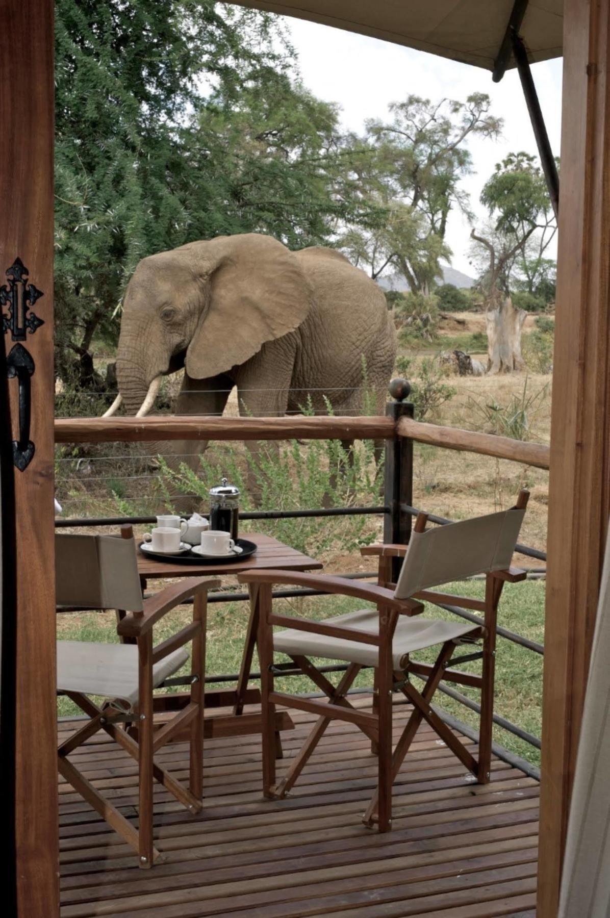 แอชนิล ซัมบูรู แคมป์ Hotel Samburu ภายนอก รูปภาพ