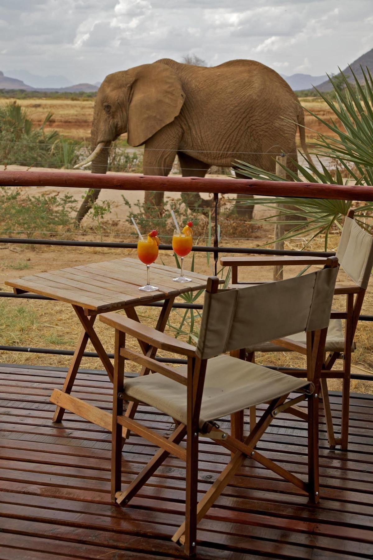 แอชนิล ซัมบูรู แคมป์ Hotel Samburu ภายนอก รูปภาพ
