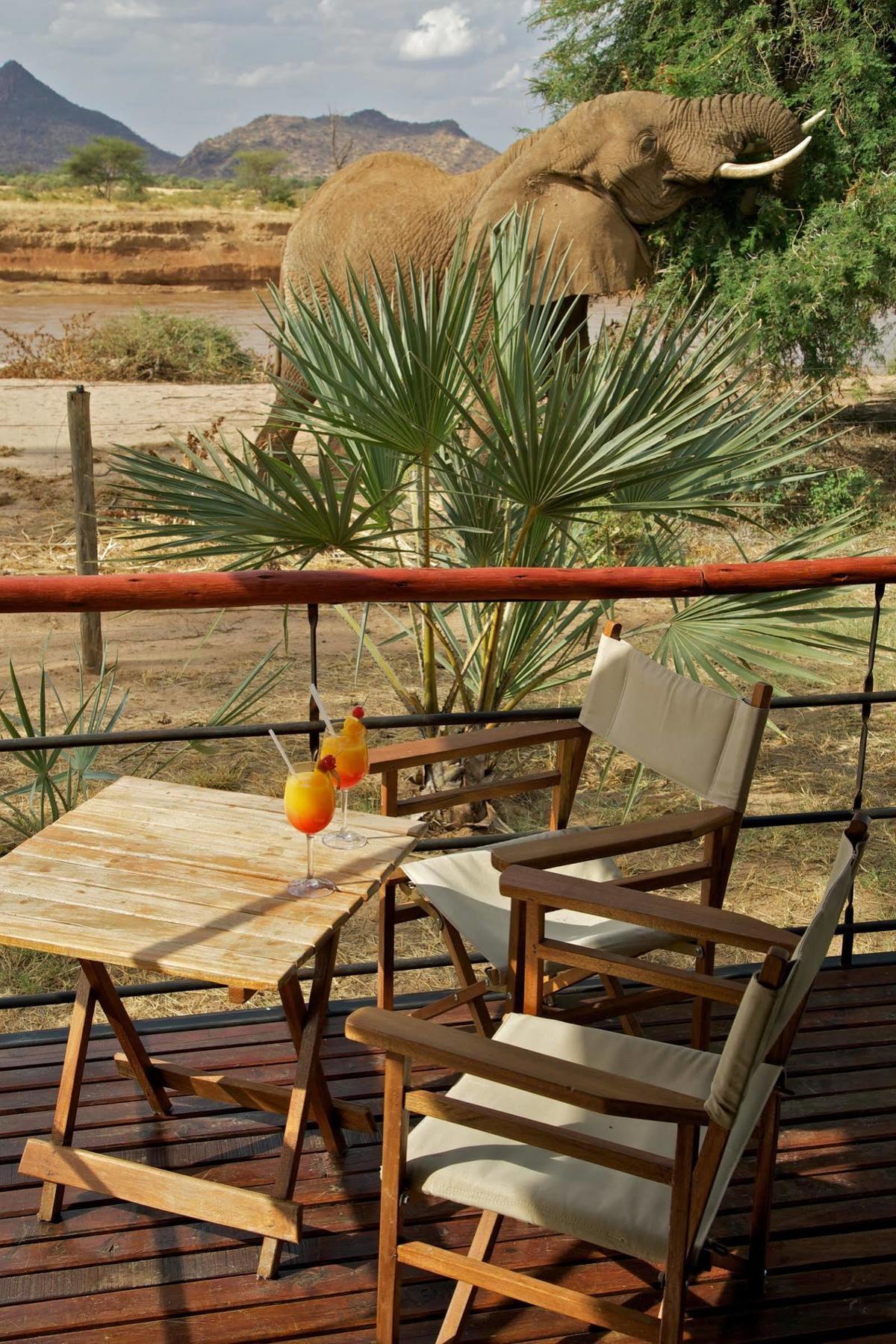 แอชนิล ซัมบูรู แคมป์ Hotel Samburu ภายนอก รูปภาพ
