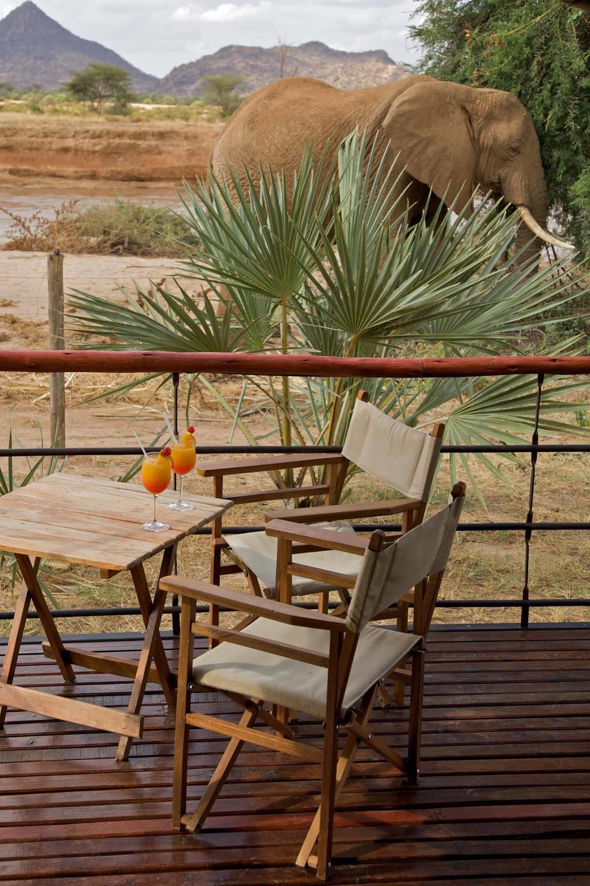 แอชนิล ซัมบูรู แคมป์ Hotel Samburu ภายนอก รูปภาพ